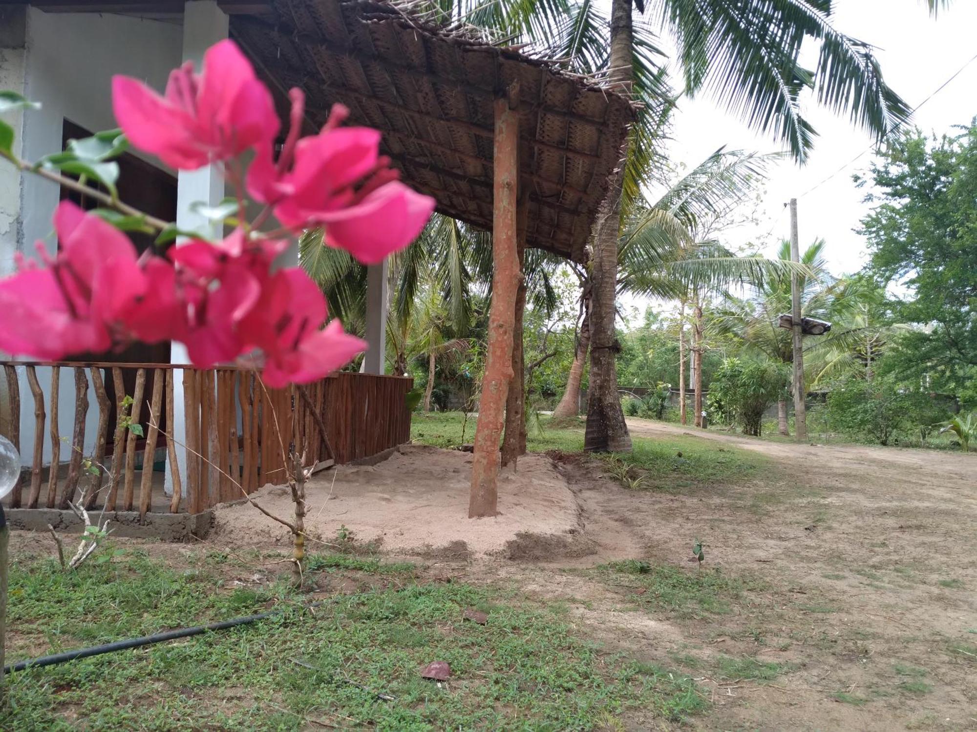 Soma Cabana, Homestay & Restaurant Tangalle Exterior foto