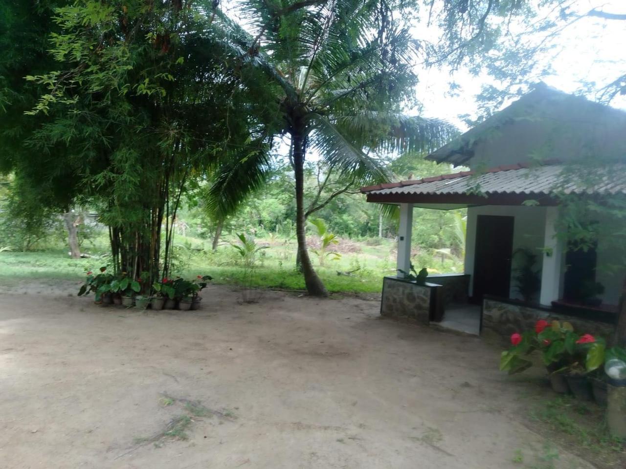 Soma Cabana, Homestay & Restaurant Tangalle Exterior foto