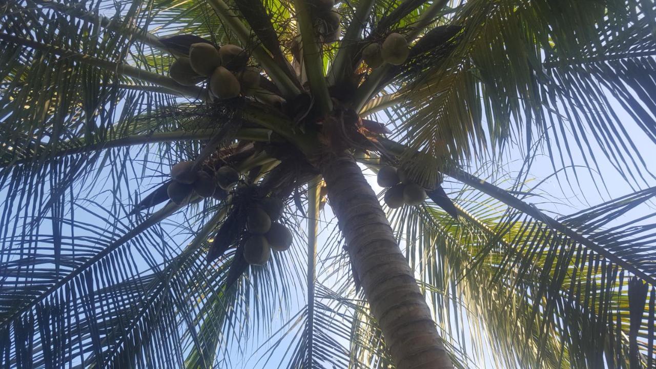Soma Cabana, Homestay & Restaurant Tangalle Exterior foto